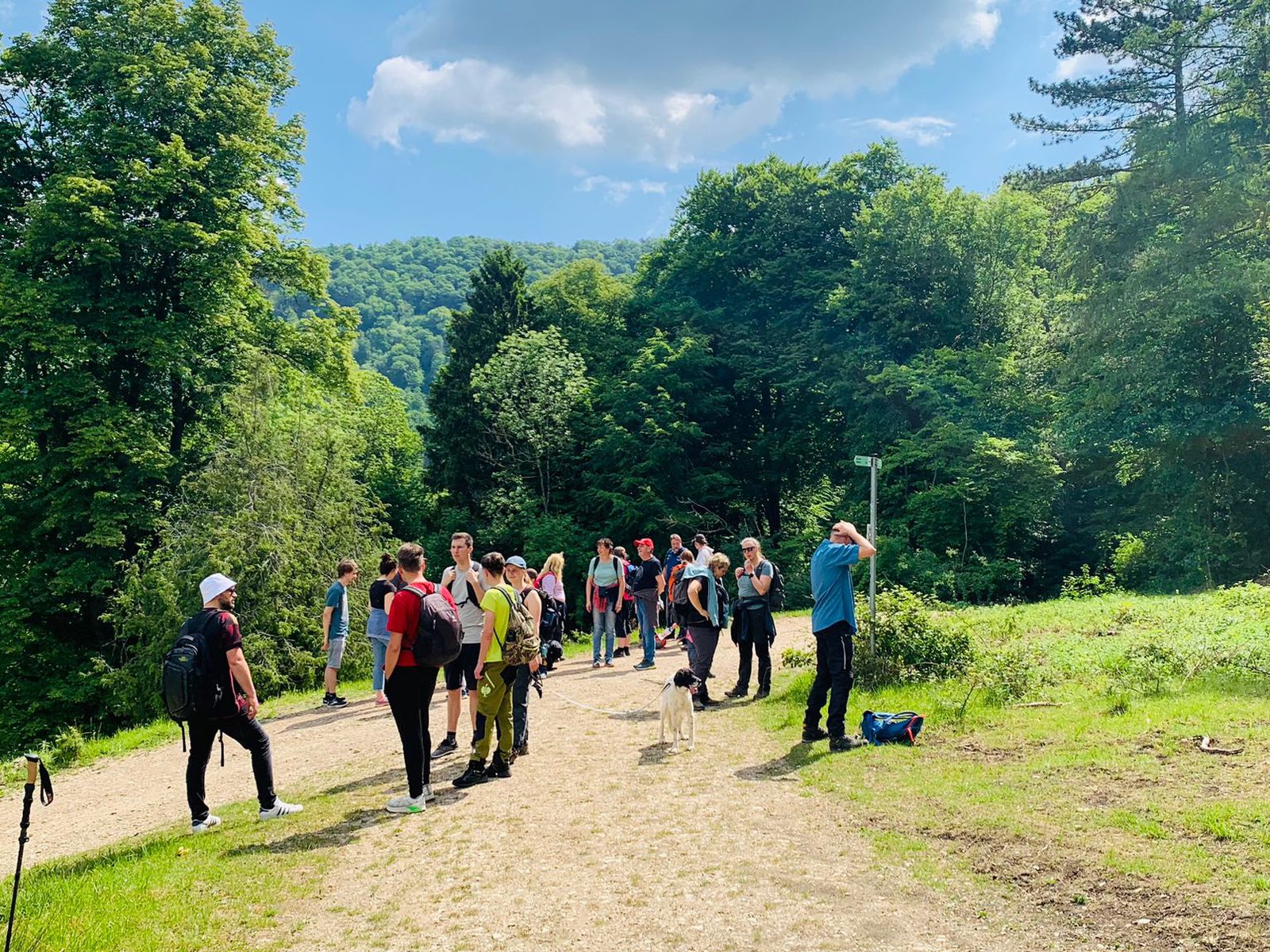 Die Gruppe sammelt sich an einem Wegweiser im Wald
